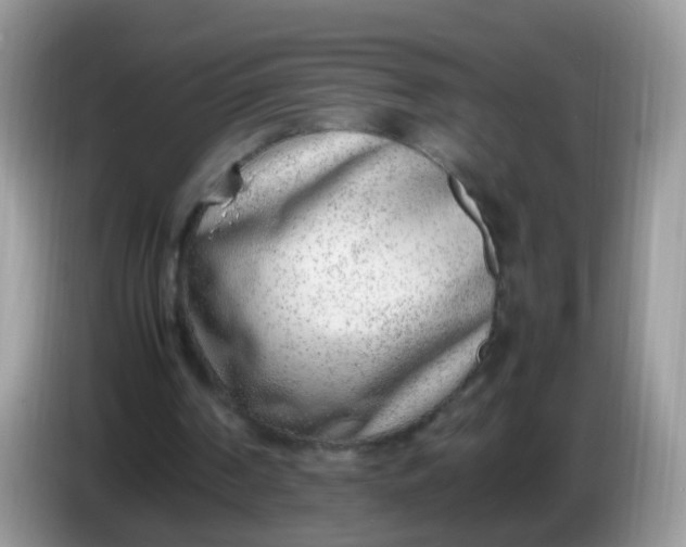 X0000086240194200704121939