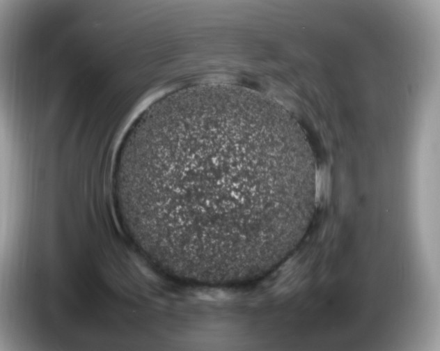 X0000086240195200704121939