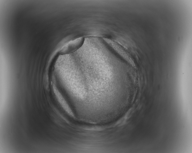 X0000086240198200704121939