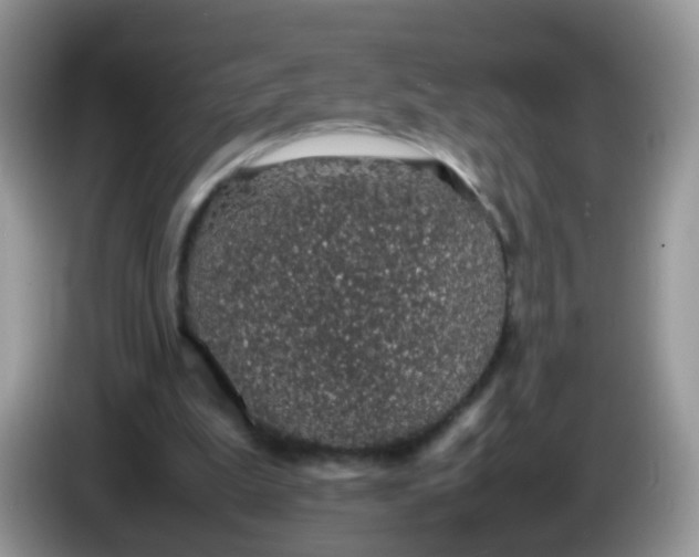 X0000086240199200704121939
