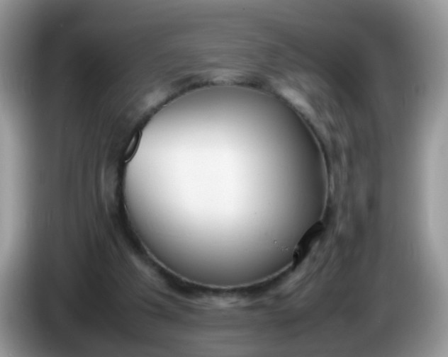 X0000086240201200704121939