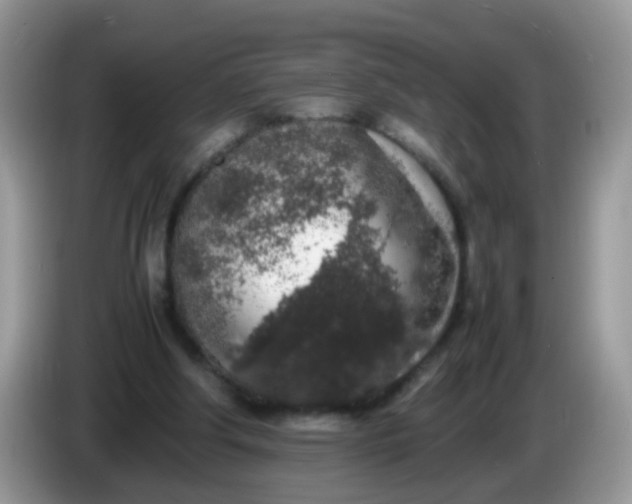 X0000086240202200704121939