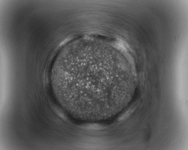 X0000086240203200704121939