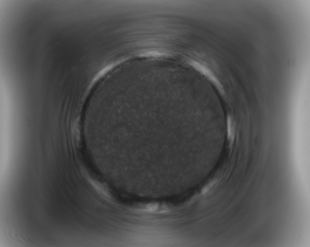 X0000086240204200704121939
