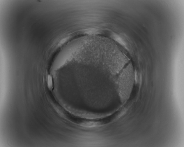 X0000086240205200704121939