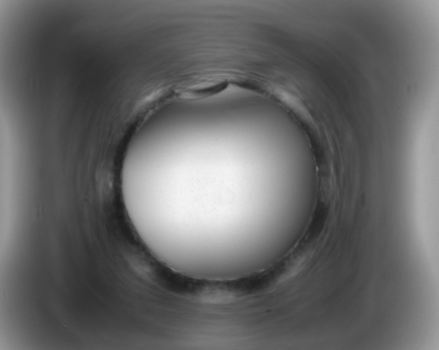 X0000086240207200704121939