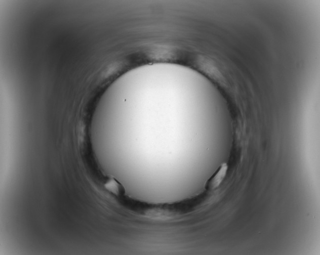 X0000086240211200704121939