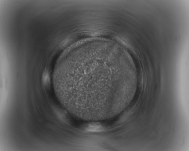 X0000086240214200704121939