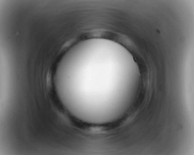 X0000086240216200704121939