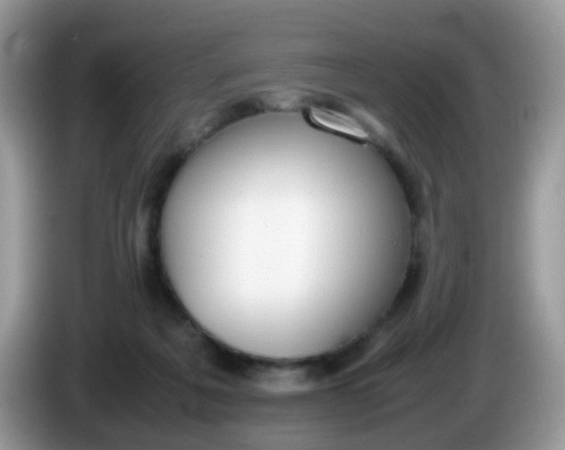 X0000086240217200704121939