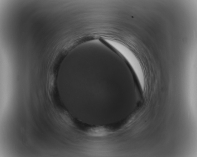 X0000086240219200704121939