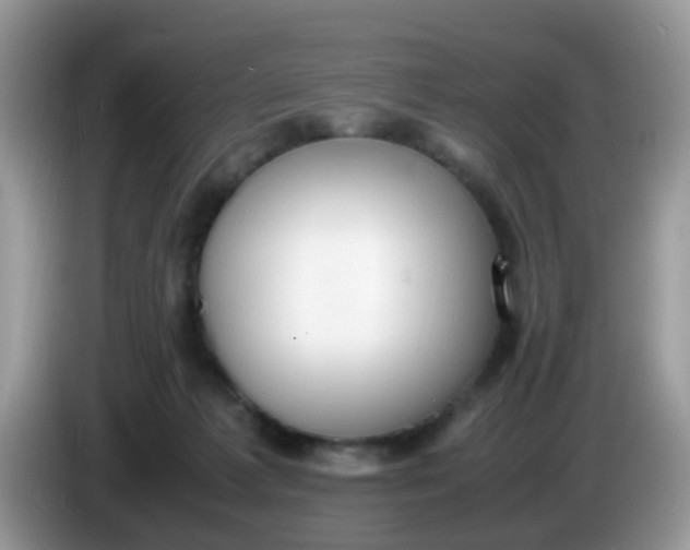 X0000086240221200704121939
