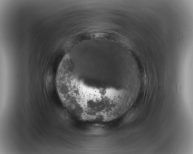 X0000086240222200704121939