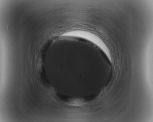 X0000086240223200704121939