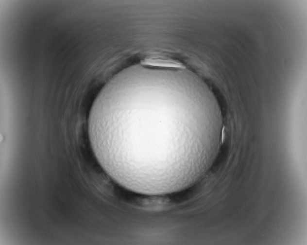 X0000086240225200704121939