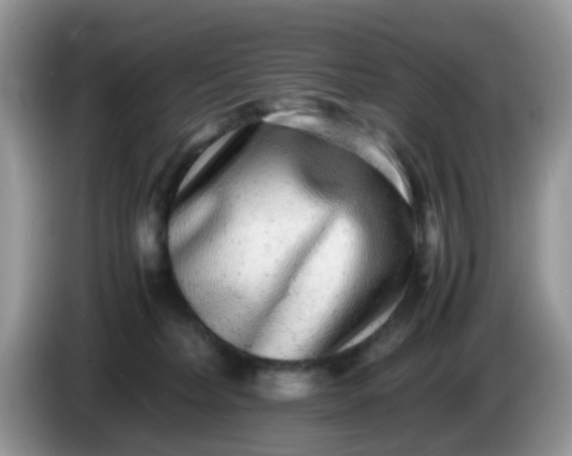 X0000086240228200704121939