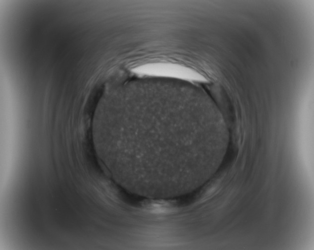 X0000086240229200704121939