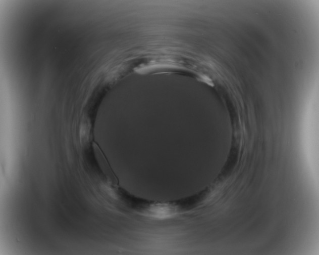 X0000086240231200704121939