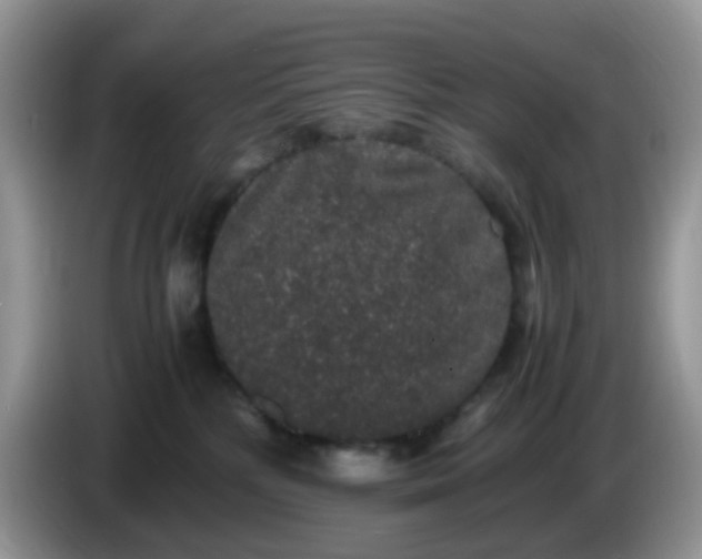 X0000086240232200704121939