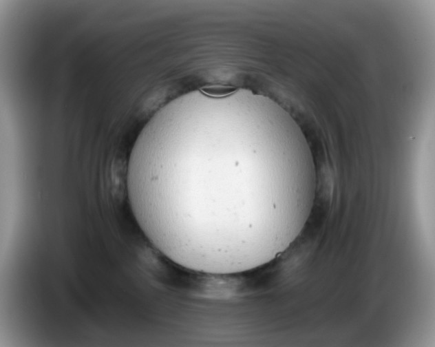 X0000086240234200704121939