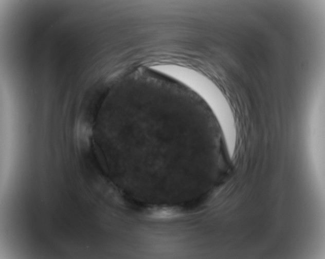X0000086240235200704121939