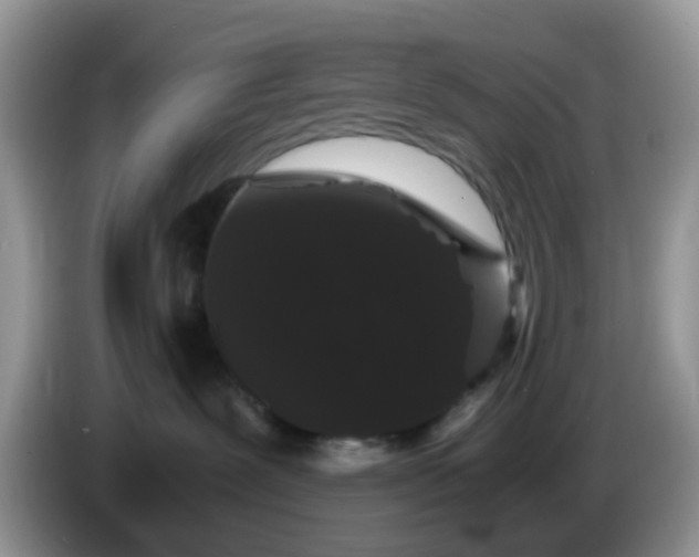 X0000086240239200704121939