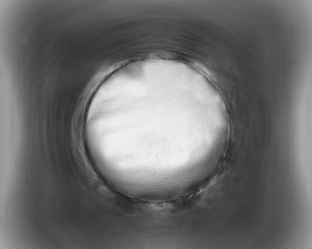 X0000086240241200704121938