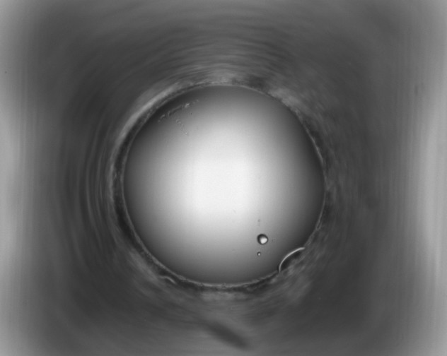 X0000086240242200704121938