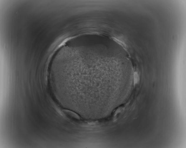 X0000086240243200704121938