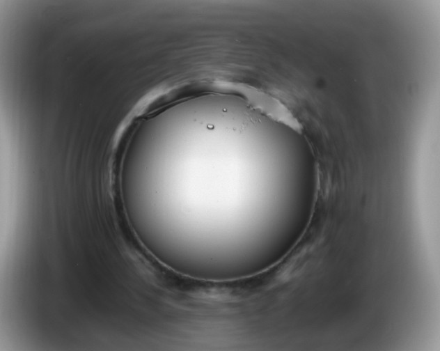 X0000086240244200704121938