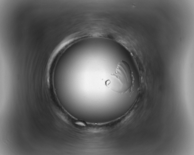 X0000086240246200704121938