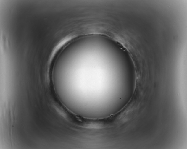 X0000086240248200704121938