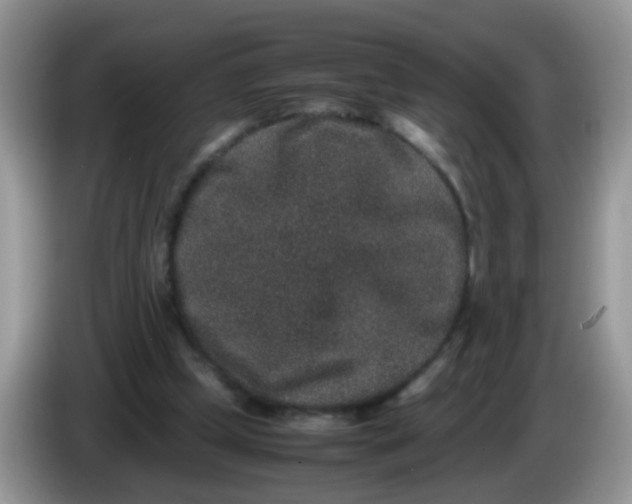 X0000086240249200704121938