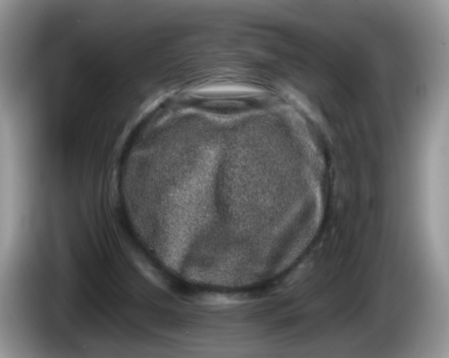 X0000086240250200704121938