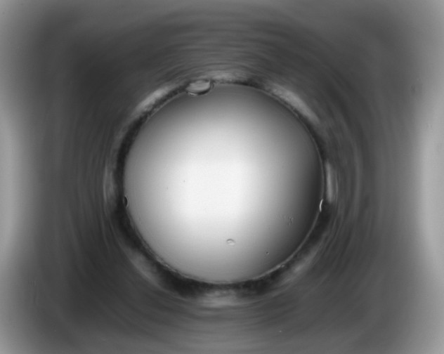 X0000086240252200704121938