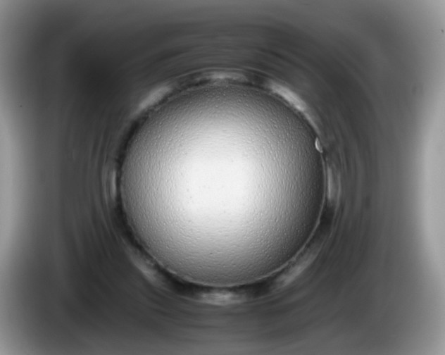 X0000086240253200704121939