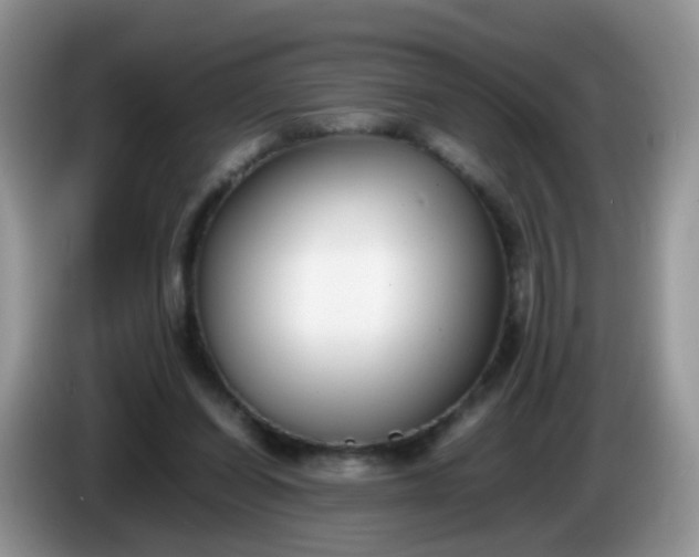 X0000086240254200704121939