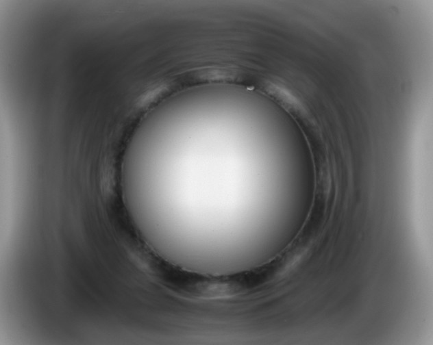 X0000086240255200704121939