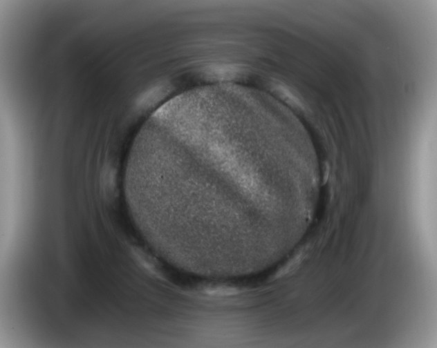 X0000086240258200704121939