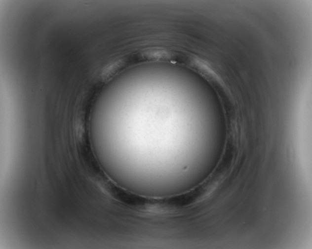 X0000086240259200704121939