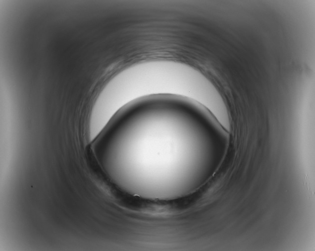 X0000086240260200704121939