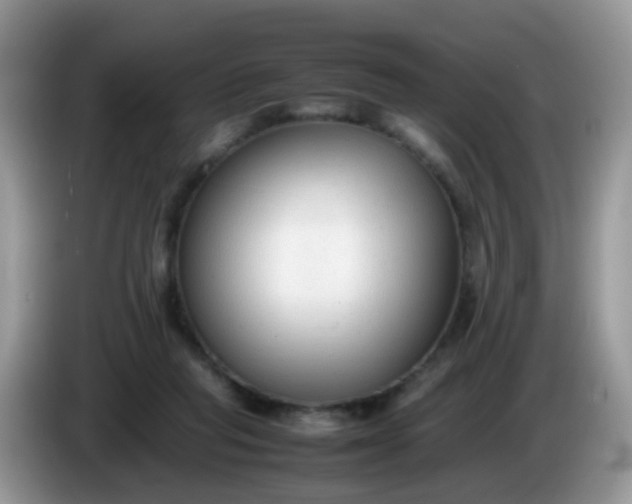 X0000086240261200704121939