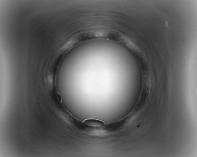 X0000086240262200704121939