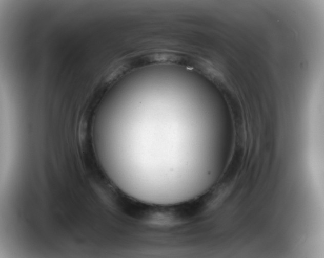 X0000086240263200704121939