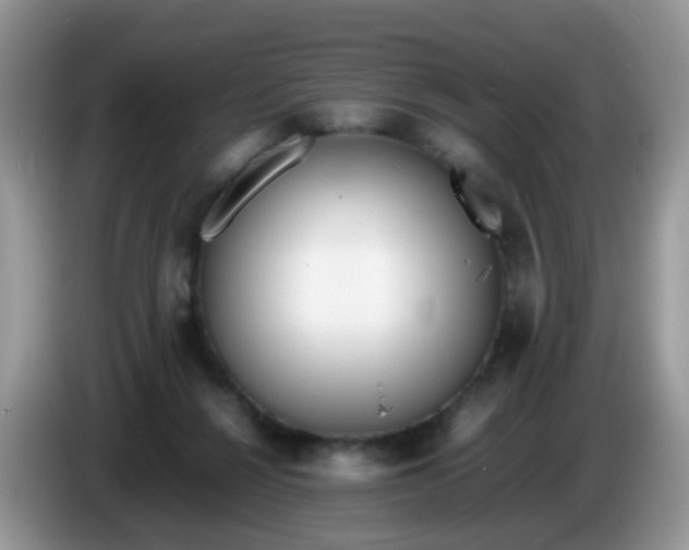X0000086240264200704121939