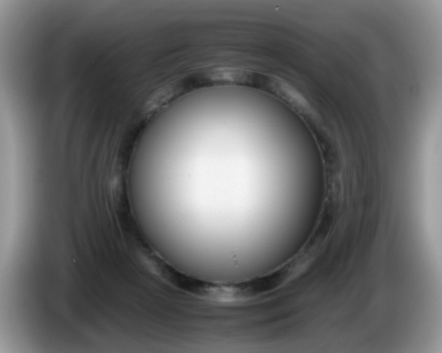 X0000086240265200704121939