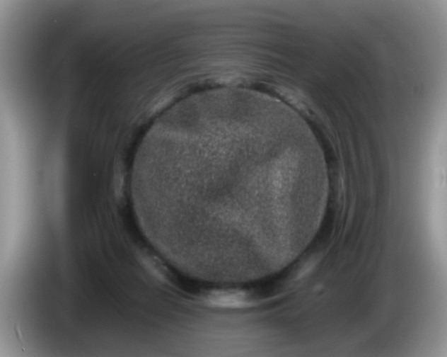 X0000086240266200704121939