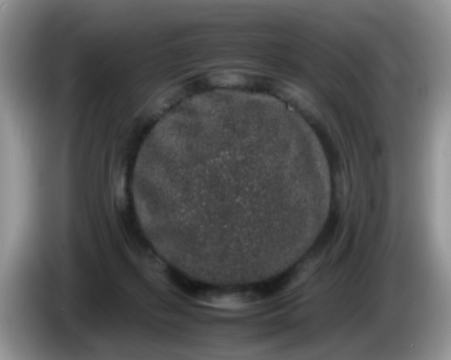 X0000086240267200704121939