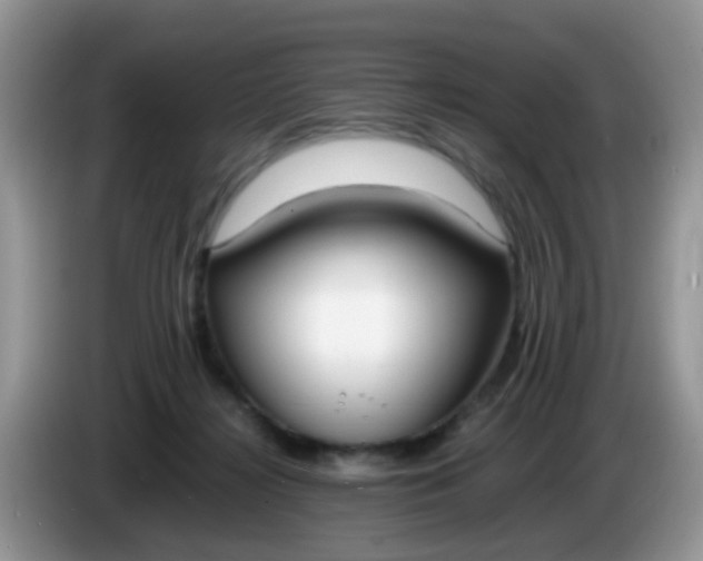 X0000086240268200704121939