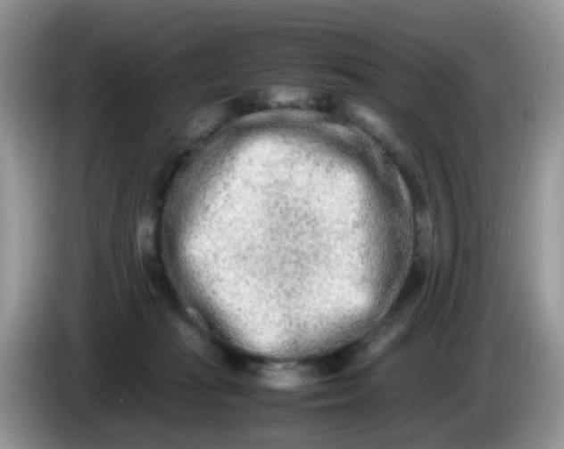X0000086240269200704121939